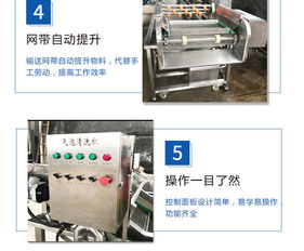 山东恒尔 图 苹果气泡清洗机厂家 苹果气泡清洗机