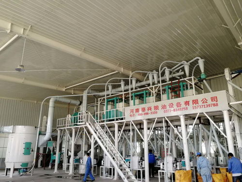 食品加工设备报价 厂家