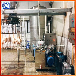 鸽子真空去肺机家禽去肺设备真空吸肺机多少钱一台