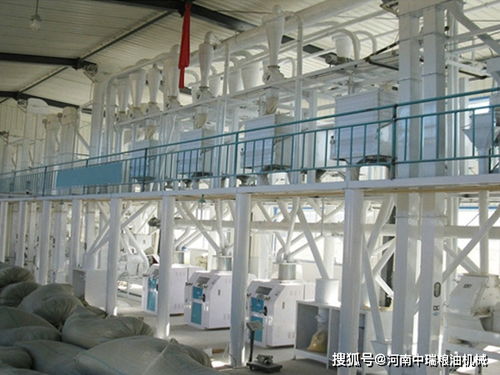 500吨面粉加工成套设备与机械加工技术解析