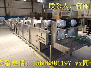 蔬菜加工机械全攻略 菠菜、腌黄瓜与野菜清洗设备的应用